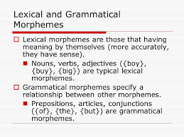 Lexical morphemes are the meaty part of a word that has the clear meaning. English Morphology And Lexicology Ppt Video Online Download