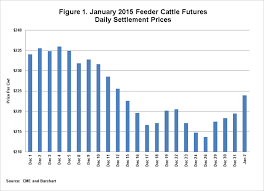 Riding The Feeder Cattle Roller Coaster Farmdoc Daily