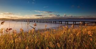 Tuggerah Lake Central Coast Nsw Can See Milky Way Rise Here Beautiful Nature Lake Explore