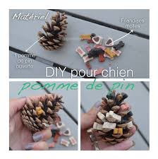 La première chose à faire est d'adapter l'intérieur de sa maison afin d'éviter tout incident. Diy 6 Accessoires Pour Chien A Faire Soi Meme Loisirs Wamiz