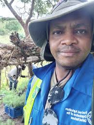 I'm sure those trees felt threatened