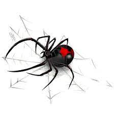 You'll know it when you see it: Black Widow On Spider Web Tattoo Design