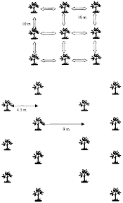 Planting fruit trees requires a little more while it opens up the possibility of growing trees in a small space, there are some drawbacks. Fruit Trees Fruit Tree Fertilizer Chart