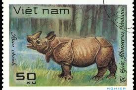 Read more and see an extinct. The World S Most Endangered Animals Where To See Them 2020 Wanderlust