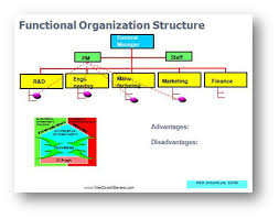 organizational food service online charts collection