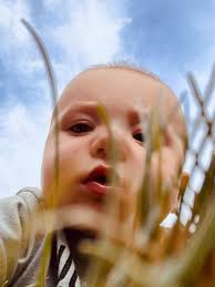 We had a great class today!! Suffice it to say we have chocolate lovers in  our LLL group!! We went through 36 pieces of chocolate in about 5 minutes!!  LOL I'm so