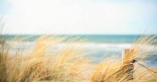 Obituary of Timothy R. Woodbury