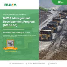 شاحنة ومركبات ثلاث عجلات بياجيو بالصور : Antony Christian Nababan Kepala Gudang Handak Pt Gunung Bara Utama Linkedin