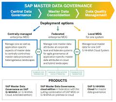Check spelling or type a new query. Extended Portfolio And Additional Deployment Options For Sap Master Data Governance Sap Blogs