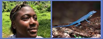 FY 2020 Annual Report