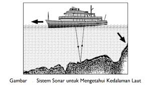 Contoh soal dan jawaban sistem indera. Indera Pendengaran Dan Sistem Sonar Sumber Belajar Ipa Online