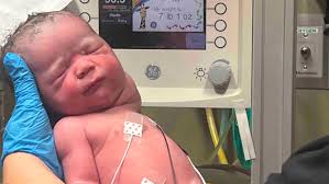 Fundraiser for Daniel Vazquez by Meredith Vazquez : Save the Day by  Supporting Baby Lilly May