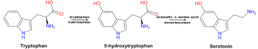 It is safe and they do not interact. 5 Hydroxytryptophan Wikipedia