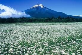 Mt Fuji Travel Japan Asia Lonely Planet