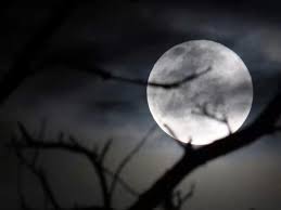 Enjoy the videos and music you love, upload original content, and share it all with friends, family, and the world on youtube. ä¸å°çææ¥è¿'æ¶å» è¶çº§æäº® ç°èº«å¤ç©º é©¬æ¥è¥¿äºè¯åæ¥æ¥æ°é»ç½'