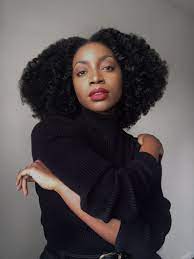 Pin By Ogechi M On All Black Natural Hair Styles Black History Month Black