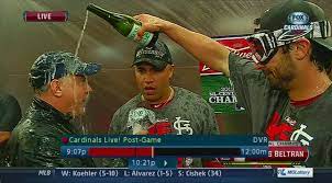 We did not find results for: Celebration 12in13 Oh Poor Jimmy The Cat Hayes I Love This Lol St Louis Baseball Stl Cardinals Stl Baseball