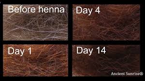 Https Www Ancientsunrise Blog Tag Lemon Juice