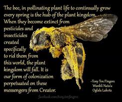 Dont Let The Real Bees Die Spirit Animal Totem Bee Plant Life