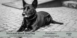 National Black Dog Day October 1 Black Dog Day Black Dog Dogs