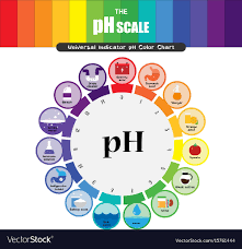 Ph Scale Universal Indicator Ph Color Chart