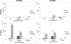6 видео 11 371 просмотр обновлен 3 дек. Frontiers Clarifying The Tooth Derived Stem Cells Behavior In A 3d Biomimetic Scaffold For Bone Tissue Engineering Applications Bioengineering And Biotechnology