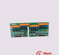 MC-PDOY23 | Honeywell Digital Output Relay