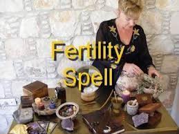 27658339603 Powerful Traditional Healer In Namibia Herbalist Healer 1 4 Fertility Spells Money Spells That Work Prosperity Spell