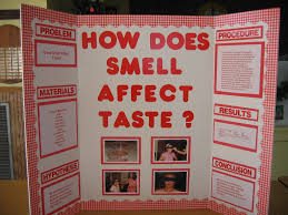 Biology Science Fair Projects Ideas How Does Smell Affect Taste Easy Science Fair Projects High School Science Fair Projects Cool Science Fair Projects