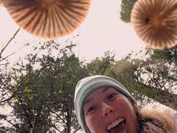 Mushrooms are vital decomposers in the forest ecosystem, thrive in specific  seasonal conditions and can be both highly prized edible and dangerously  toxic varieties. Fungi are crucial to the forest, breaking down