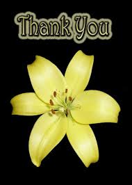 Thank You Greeting Card With Yellow Lily Flower On Silky Black Card Ad Ad Happy Birthday Greeting Card Birthday Greeting Cards Happy Birthday Greetings