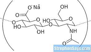 Adalah = identik dengan,sama maknanya dengan, termasuk dalam kelompok atau golongan. Perbezaan Antara Sodium Hyaluronate Dan Hyaluronic Acid Bandingkan Perbezaan Antara Istilah Sejenis Sains 2021