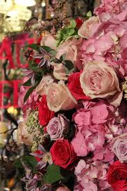 Here are some of the best flowers to photograph. 10 Tips For Taking Better Event Photos The Smell Of Roses The Smell Of Roses