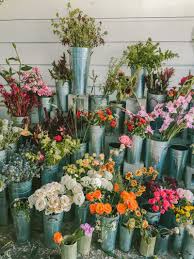 Weekend Travel Guide To San Francisco San Francisco Travel Guide Weekend In San Francisco San Francisco Travel