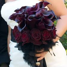 Flower Guide Calla Lilies Purple Calla Lilies Wedding Colors Red Wedding Colors Purple