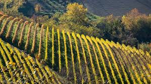 Tripadvisor has 9,447 reviews of limone piemonte hotels, attractions, and restaurants making it your best limone piemonte resource. Piemonte Map And Travel Guide Wandering Italy