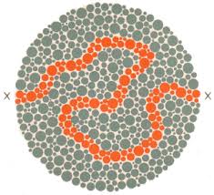 Check spelling or type a new query. Tes Buta Warna Ishihara Dan Jawabannya Buta Warna Parsial Total
