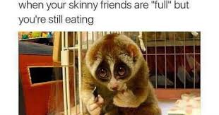 These funny animal memes are some of the best funny memes over the internet, which we have collected from various resources for you. 27 Animal Memes That Are Cute Funny And Totally Worth Looking At I Can Has Cheezburger