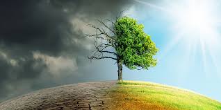 Serious problems that are being caused or likely to be caused by changes in the world's weather…. Telecom Review How Icts Can Tackle The Climate Crisis