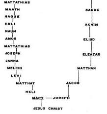 the bible family tree from adam to jesus bible study for