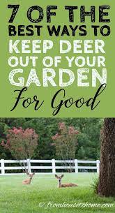 3 easy and practical ways to keep deer from eating your plants and your garden this spring. Keep Deer Away 13 Ways To Keep Deer Out Of Your Garden Gardening From House To Home Deer Resistant Garden Deer Resistant Landscaping Deer Resistant Plants