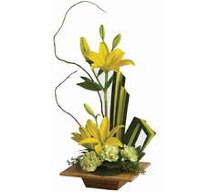 We did not find results for: Thank You Flower Delivery Sydney Same Day Florist Delivery Rainbow Florists