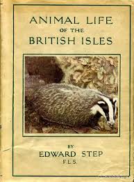 Pendleburys The Bookshop In The Hills Vintage Books British Isles Field Guide