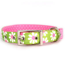 Yellow dog's flower dog collars celebrate your dog's love of nature. Flower Themed Dog Collar Online Hot Dog Collars