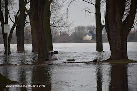 Maybe you would like to learn more about one of these? Leverkusen Bild Hochwasser