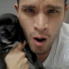 Renato Rojas Murrugarra (renatorojasmurr)