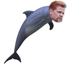 dolphin smooth dolphins dolphin clipart image