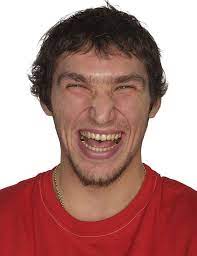 Le livre numérique (en anglais : Alexander Ovechkin Shows Off His Unibrow During A 2006 Si Photo Shoot Howard Schatz Si Alexander Ovechkin Faces Expressions Hockey Fans