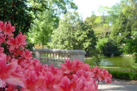 Le jardin des plantes fête la nature. Visite Du Jardin Des Plantes Avec Animation Nature Angers