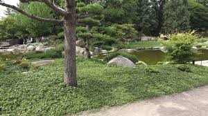Buchen sie ihre ferienwohnung ganz schnell online. Japanischer Garten Hamburg 2021 All You Need To Know Before You Go With Photos Tripadvisor